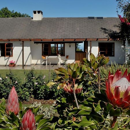 Heatherhill Farmhouse - Sea & Mountain Views Plettenberg Bay Zewnętrze zdjęcie