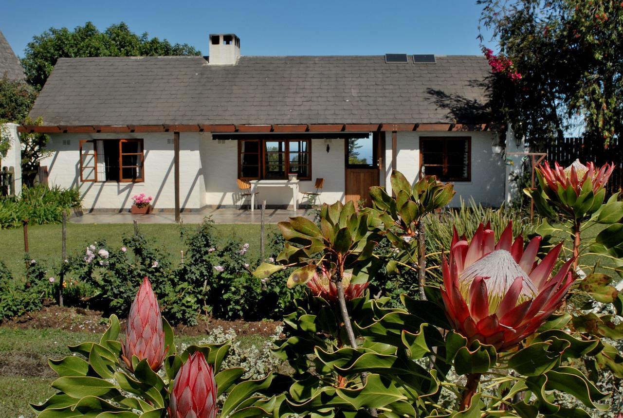 Heatherhill Farmhouse - Sea & Mountain Views Plettenberg Bay Zewnętrze zdjęcie