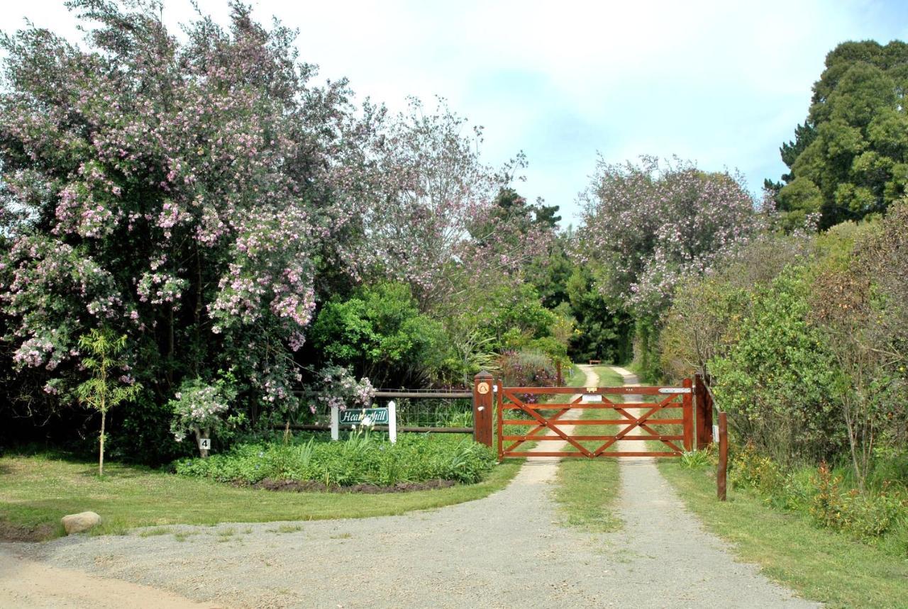 Heatherhill Farmhouse - Sea & Mountain Views Plettenberg Bay Zewnętrze zdjęcie